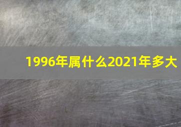 1996年属什么2021年多大