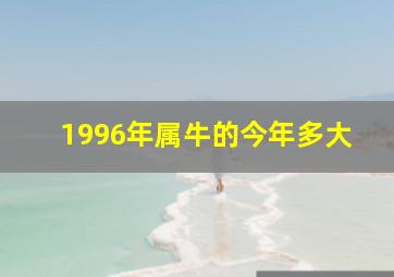 1996年属牛的今年多大