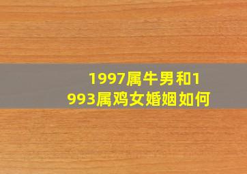 1997属牛男和1993属鸡女婚姻如何