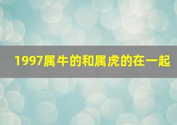 1997属牛的和属虎的在一起