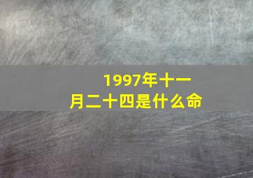 1997年十一月二十四是什么命