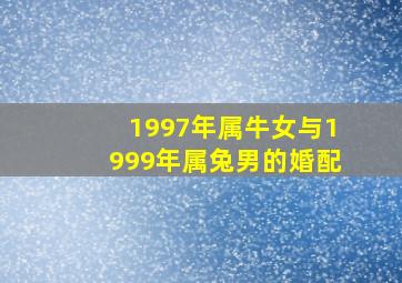 1997年属牛女与1999年属兔男的婚配