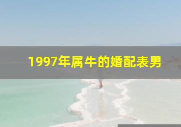 1997年属牛的婚配表男