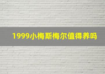 1999小梅斯梅尔值得养吗