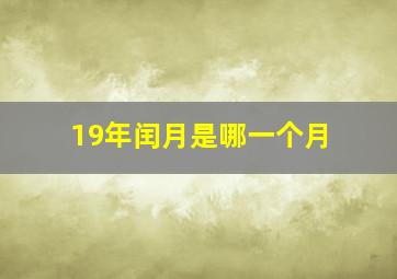 19年闰月是哪一个月