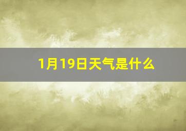 1月19日天气是什么