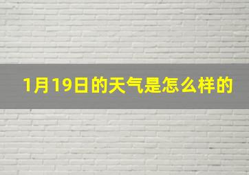 1月19日的天气是怎么样的