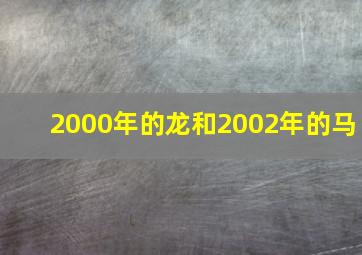 2000年的龙和2002年的马