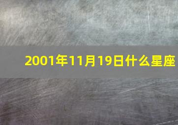 2001年11月19日什么星座