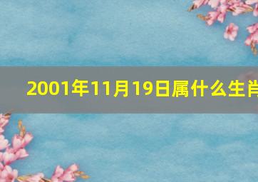 2001年11月19日属什么生肖