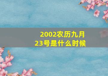 2002农历九月23号是什么时候