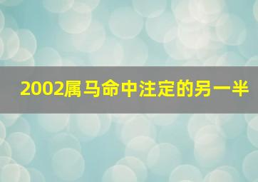 2002属马命中注定的另一半