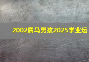 2002属马男孩2025学业运