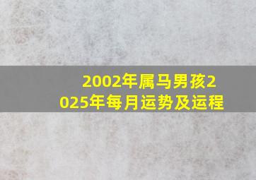 2002年属马男孩2025年每月运势及运程