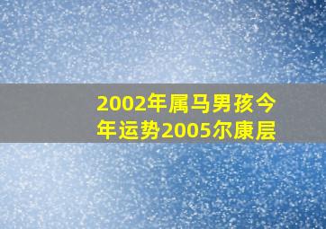 2002年属马男孩今年运势2005尔康层