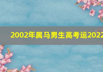 2002年属马男生高考运2022