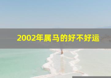 2002年属马的好不好运