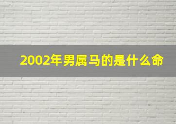 2002年男属马的是什么命