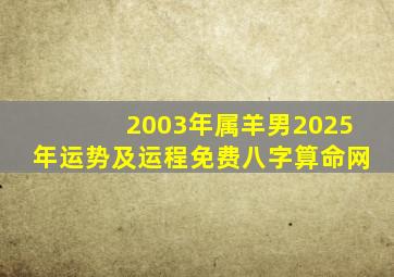 2003年属羊男2025年运势及运程免费八字算命网