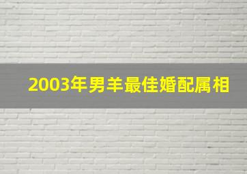 2003年男羊最佳婚配属相