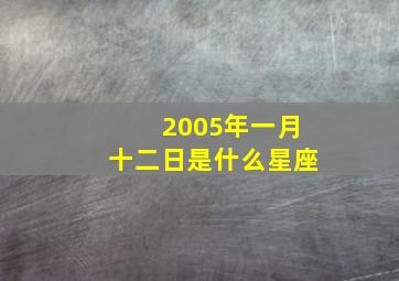 2005年一月十二日是什么星座