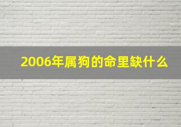 2006年属狗的命里缺什么