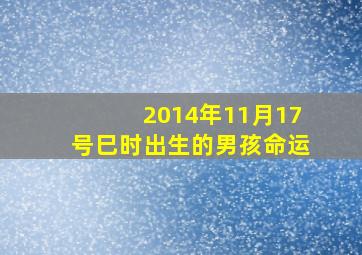 2014年11月17号巳时出生的男孩命运