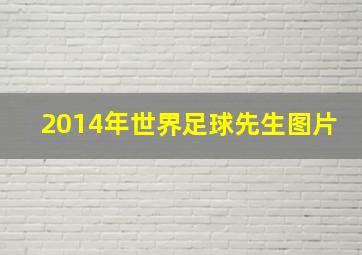 2014年世界足球先生图片