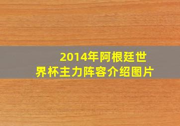 2014年阿根廷世界杯主力阵容介绍图片