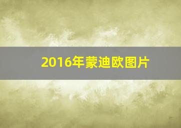 2016年蒙迪欧图片