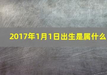 2017年1月1日出生是属什么