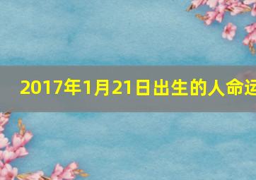 2017年1月21日出生的人命运