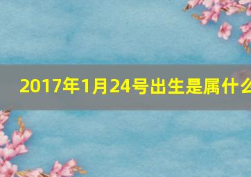 2017年1月24号出生是属什么