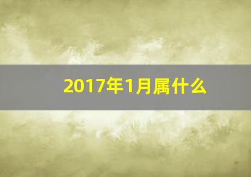 2017年1月属什么