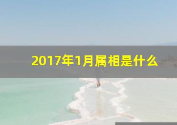 2017年1月属相是什么