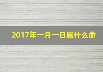 2017年一月一日属什么命