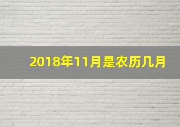 2018年11月是农历几月