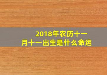 2018年农历十一月十一出生是什么命运