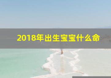 2018年出生宝宝什么命