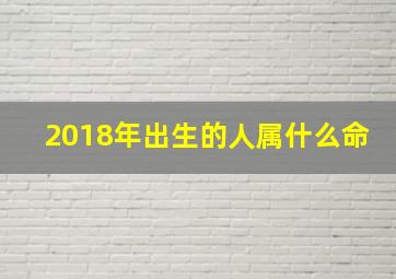 2018年出生的人属什么命