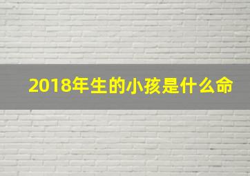 2018年生的小孩是什么命