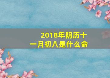 2018年阴历十一月初八是什么命