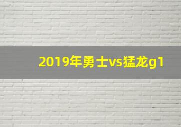 2019年勇士vs猛龙g1