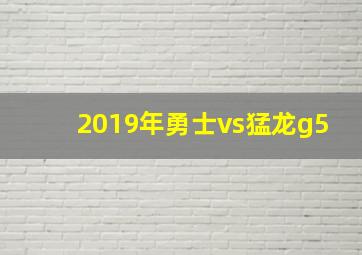 2019年勇士vs猛龙g5