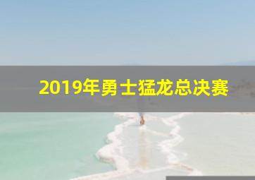 2019年勇士猛龙总决赛