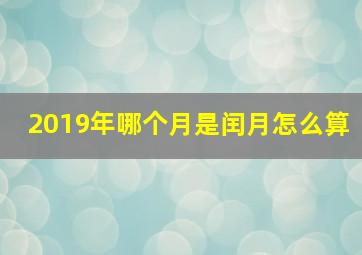 2019年哪个月是闰月怎么算