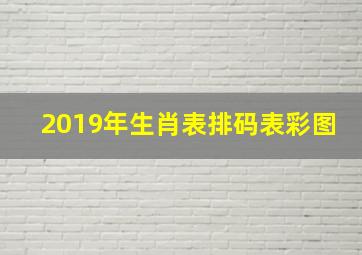 2019年生肖表排码表彩图