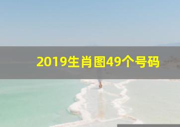 2019生肖图49个号码