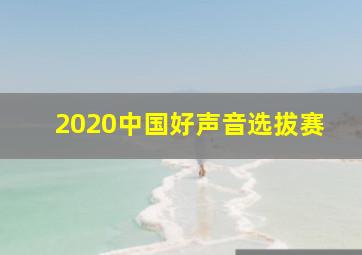 2020中国好声音选拔赛