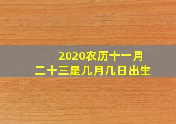 2020农历十一月二十三是几月几日出生